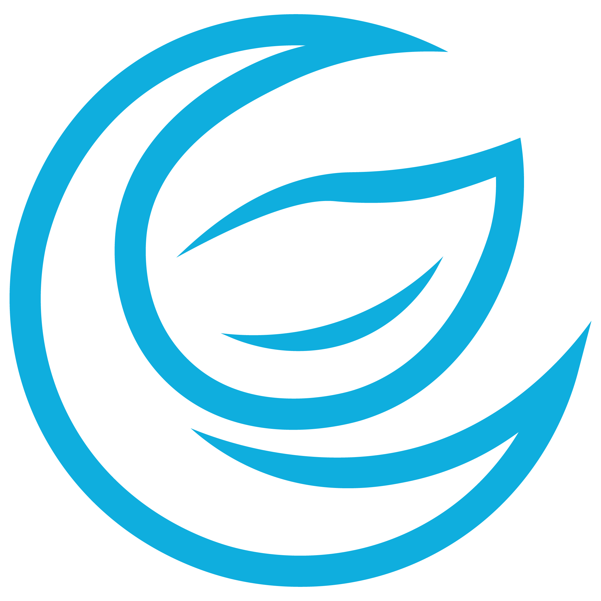 Web Squadron Logo